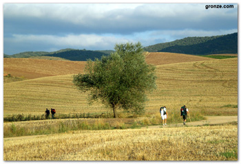 arcos camino santiago