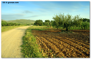 camino ebro