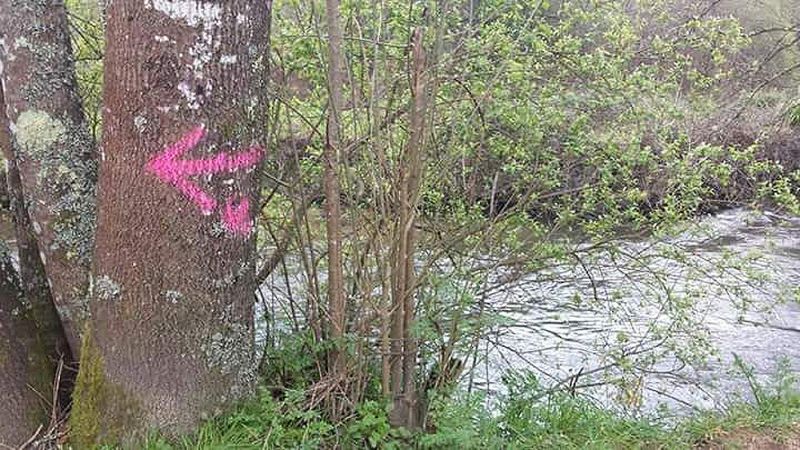 Una de las flechas pintada sobre un árbol