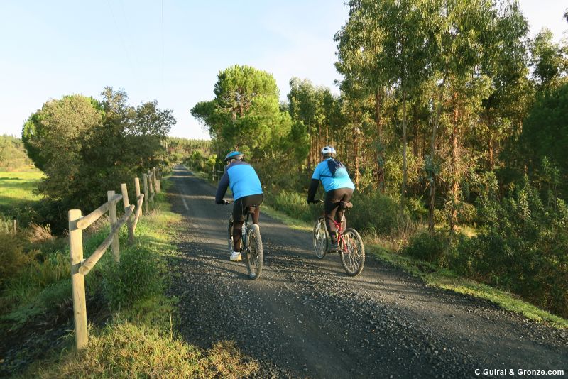 Ciclistas en una vía verde (Camino de Santiago del Sur)