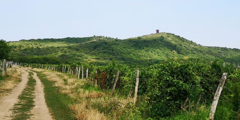 Tihany, Camino Húngaro.