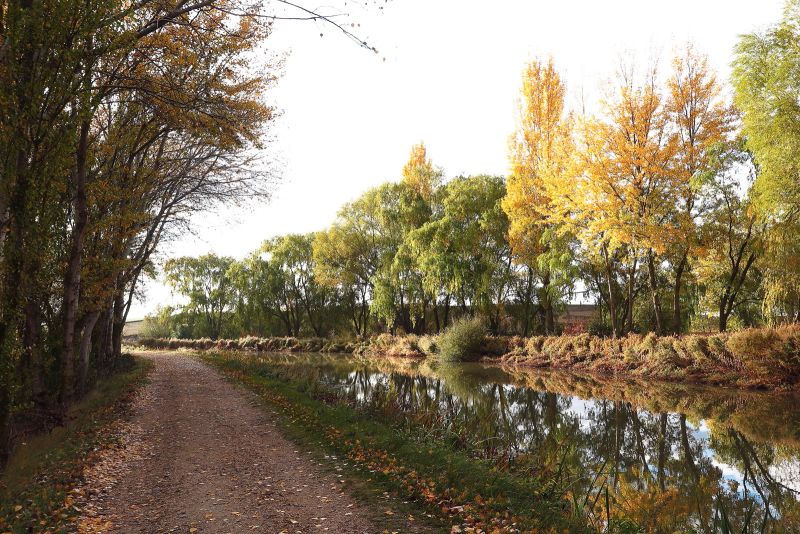 Tramo junto al Canal de Castilla, llegando a Frómista.