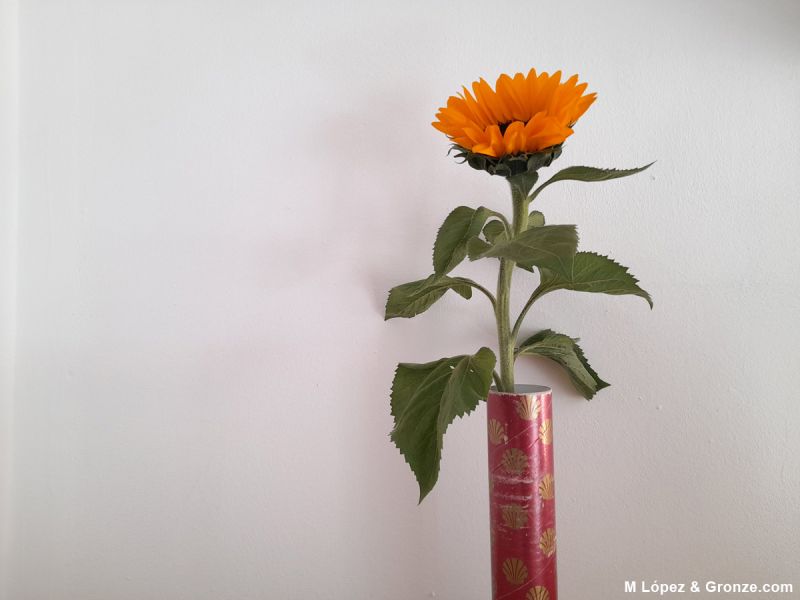 «Un florero con flores rojas y blancas» (descripción sugerida por la «inteligencia» de Microsoft Word).